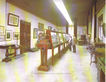 Vista general del Museo Historico y Numismatico del Banco